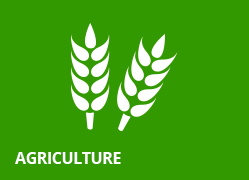 Agriculture and Rural Development